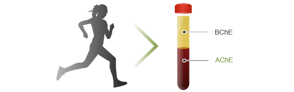 AChE-acetylcholinesterase-blood-biomarker-graphical-abstract