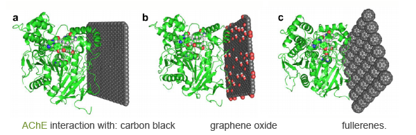 AChE-acetylcholinesterase-mollecular-interaction-graphical-abstract