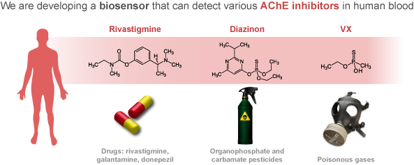 biosensors-AChE-inhibitors-graphical-abstract