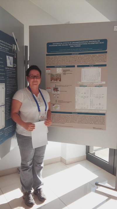 eurbee-2016-monika-kos